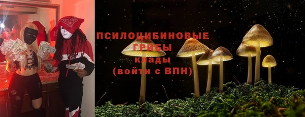 стафф Белоозёрский