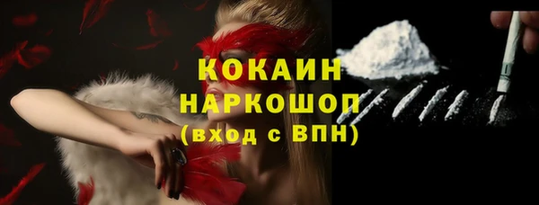 бошки Белокуриха