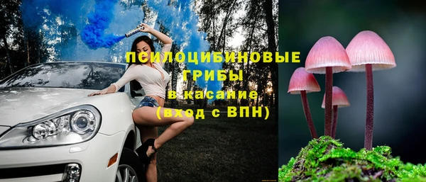 бошки Белокуриха