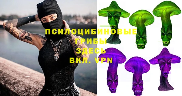 бошки Белокуриха